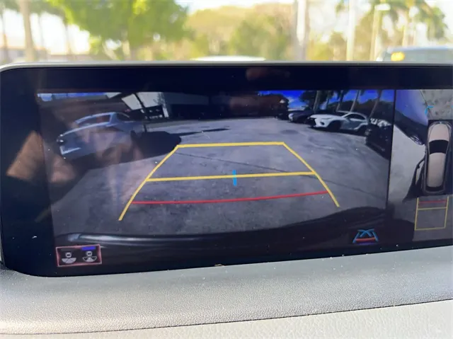 2020 Lexus RX 350h 450h AWD - Photo 17