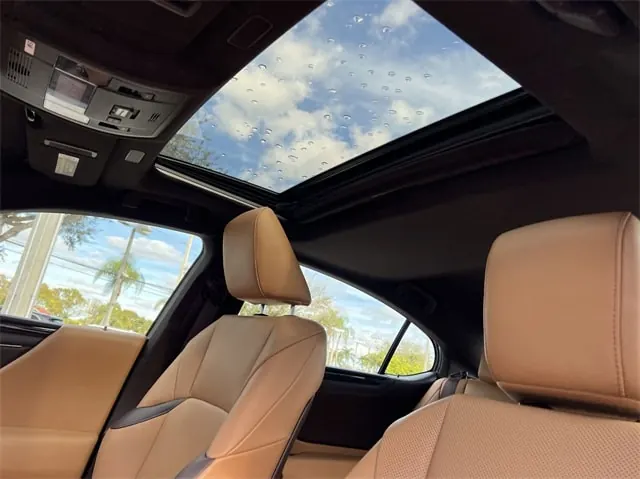 2020 Lexus ES 300h 300h - Photo 21