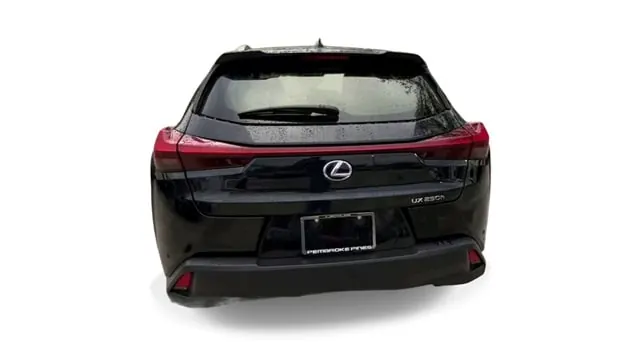 2020 Lexus UX 300h 250h AWD - Photo 7