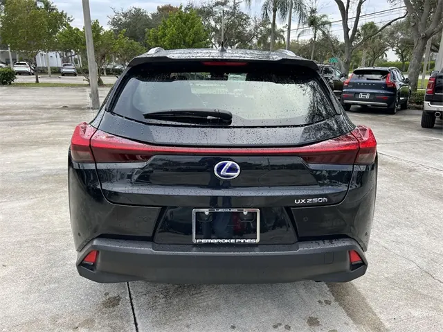 2020 Lexus UX 300h 250h AWD - Photo 23