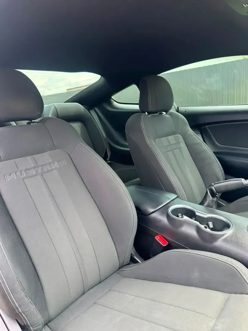 2019 Ford Mustang GT Coupe - Photo 13