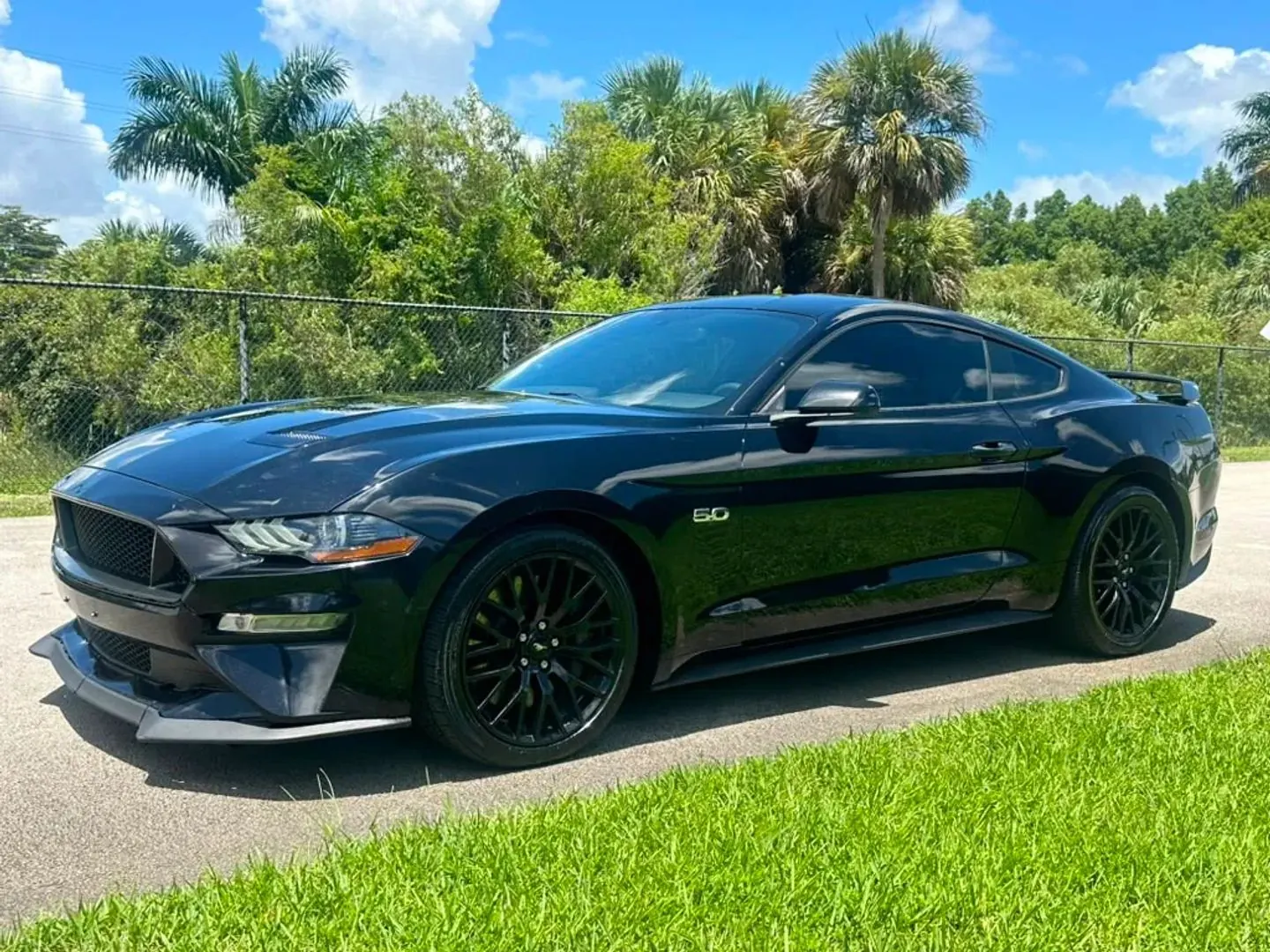 2019 Ford Mustang GT Coupe - Photo 8