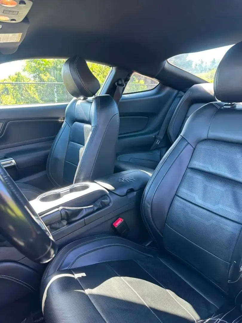 2019 Ford Mustang EcoBoost Premium Coupe - Photo 11