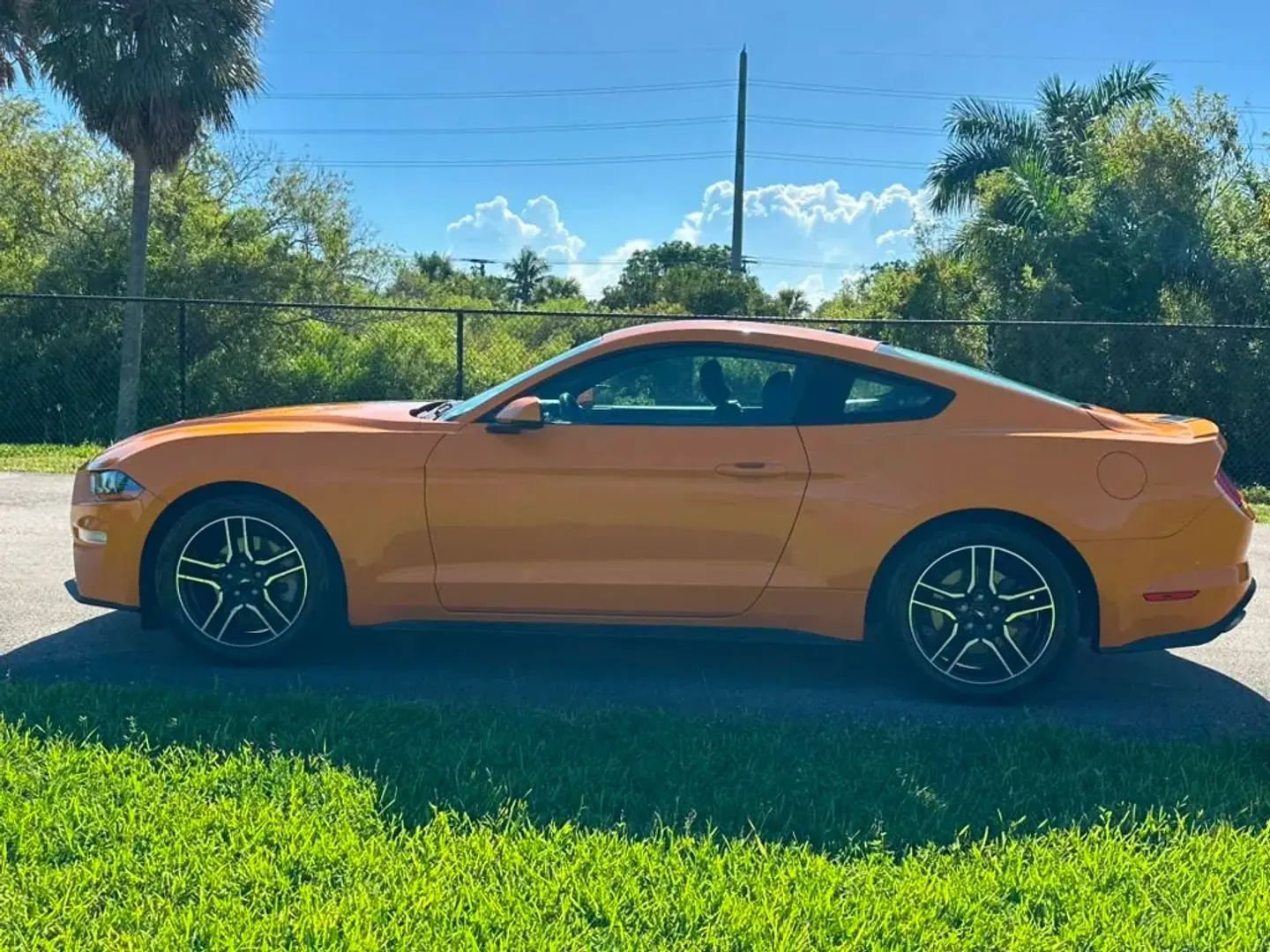 2019 Ford Mustang EcoBoost Premium Coupe - Photo 6