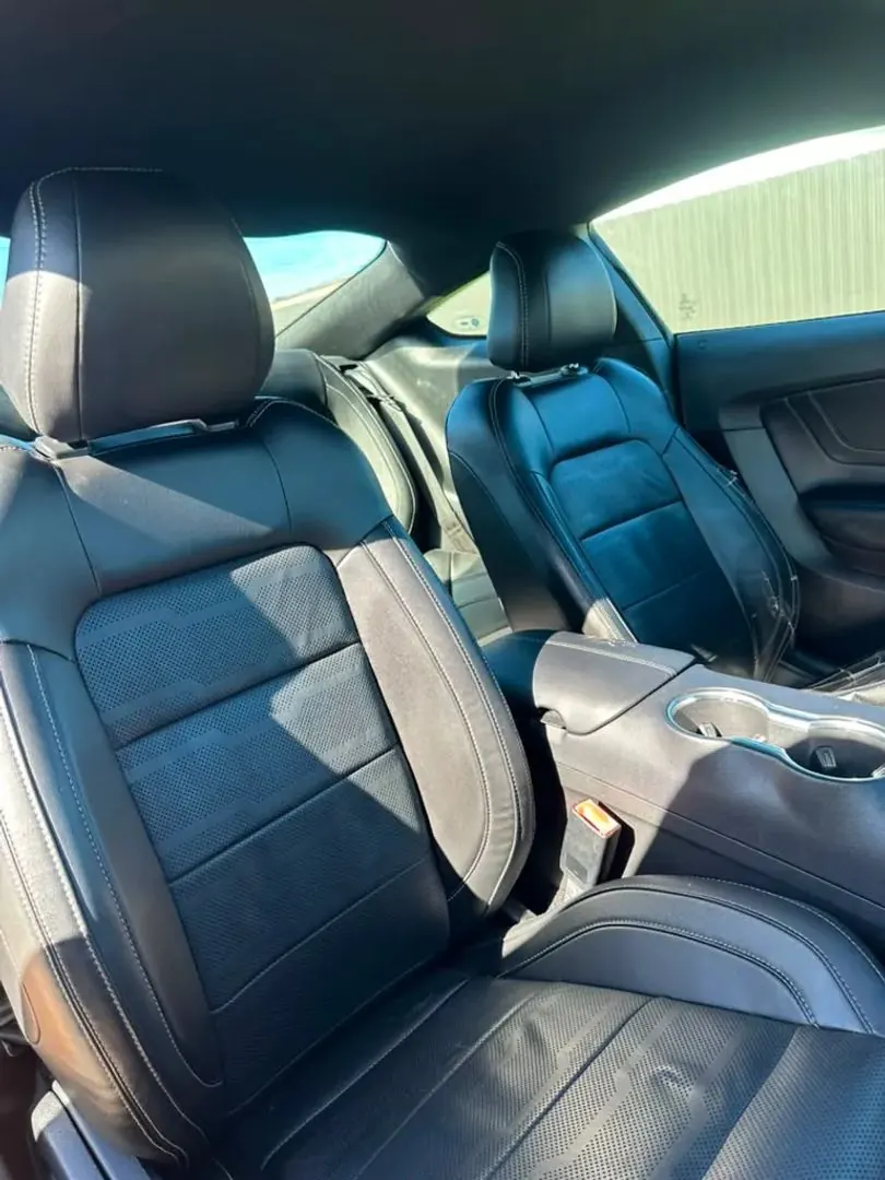 2019 Ford Mustang EcoBoost Premium Coupe - Photo 14