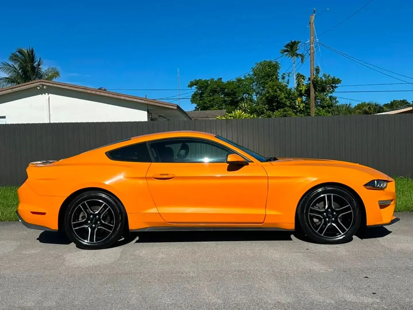 2019 Ford Mustang EcoBoost Premium Coupe - Photo 3