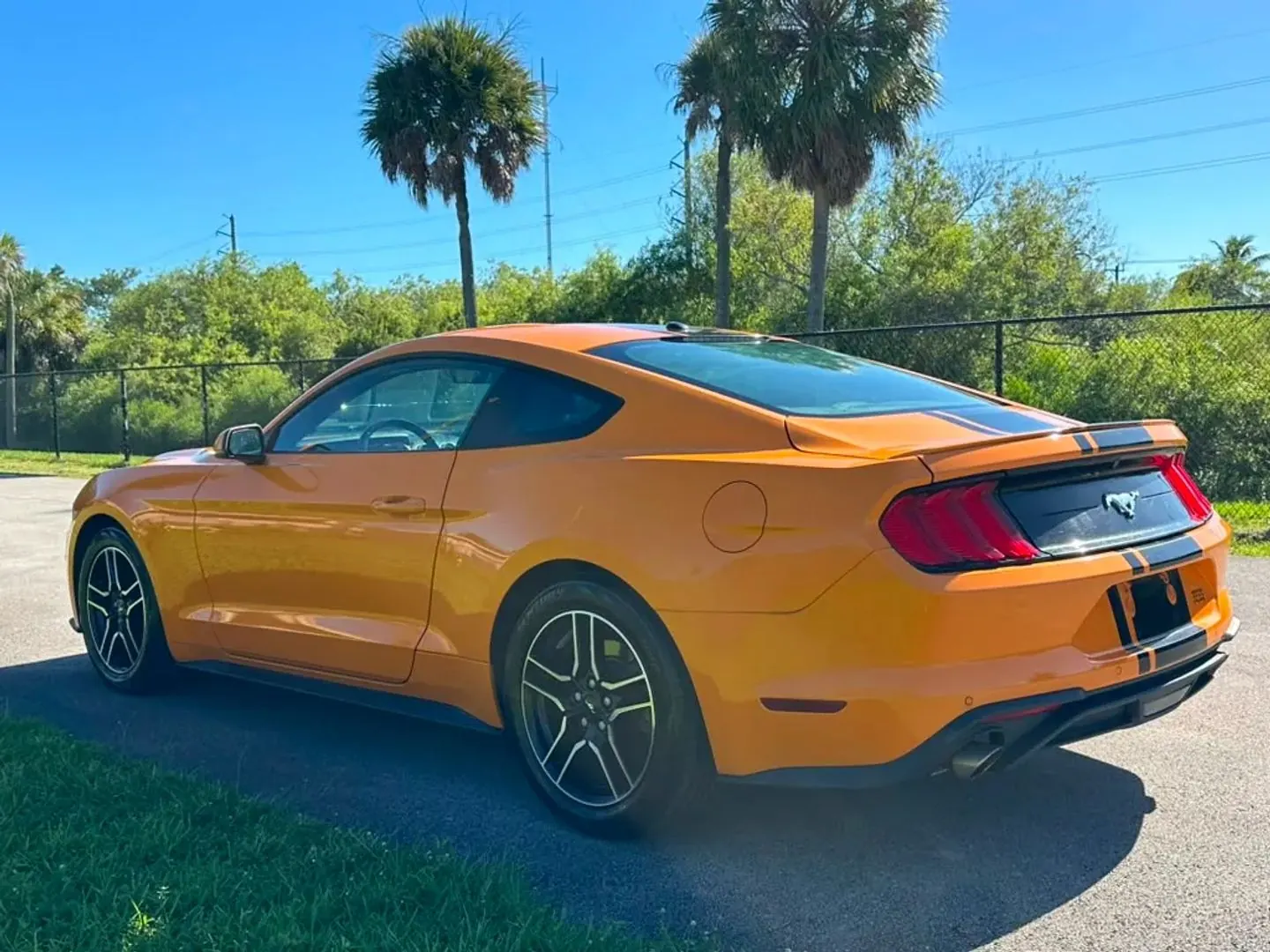 2019 Ford Mustang EcoBoost Premium Coupe - Photo 5