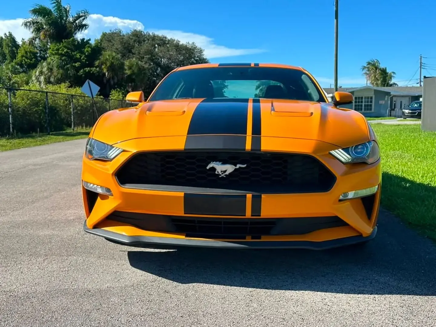 2019 Ford Mustang EcoBoost Premium Coupe - Photo 2