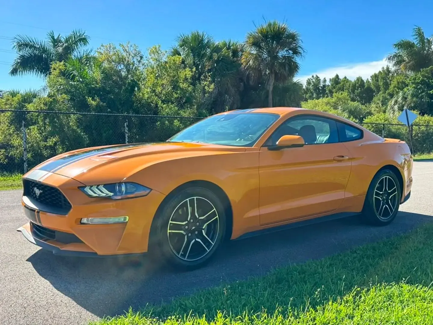 2019 Ford Mustang EcoBoost Premium Coupe - Photo 8