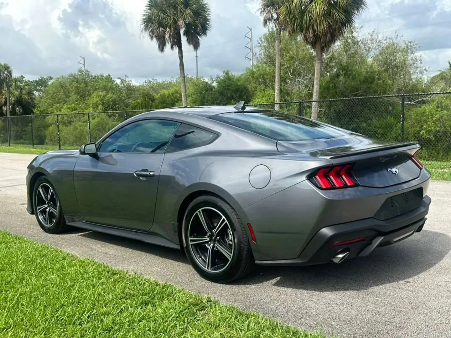 2025 Ford Mustang EcoBoost Premium Fastback - Photo 6