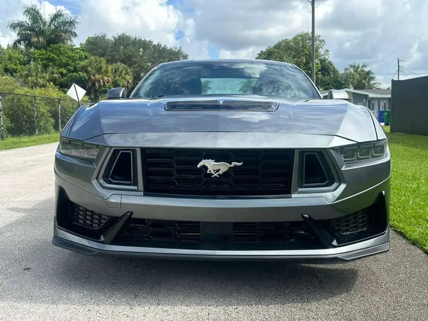 2025 Ford Mustang EcoBoost Premium Fastback - Photo 2