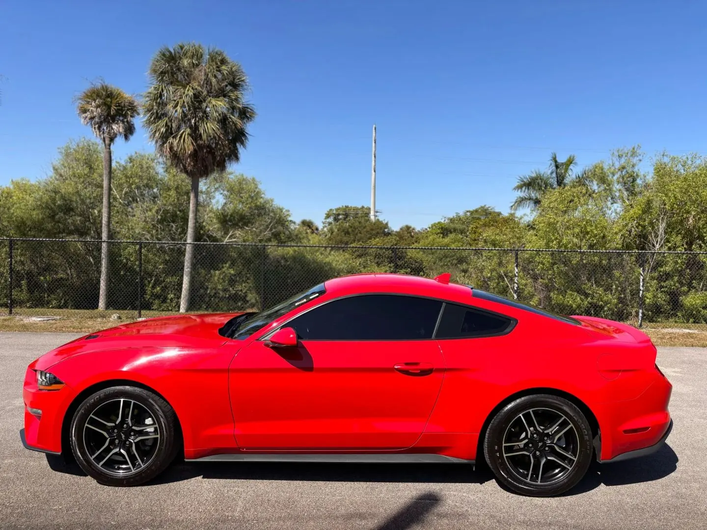 2023 Ford Mustang EcoBoost Premium Coupe - Photo 9