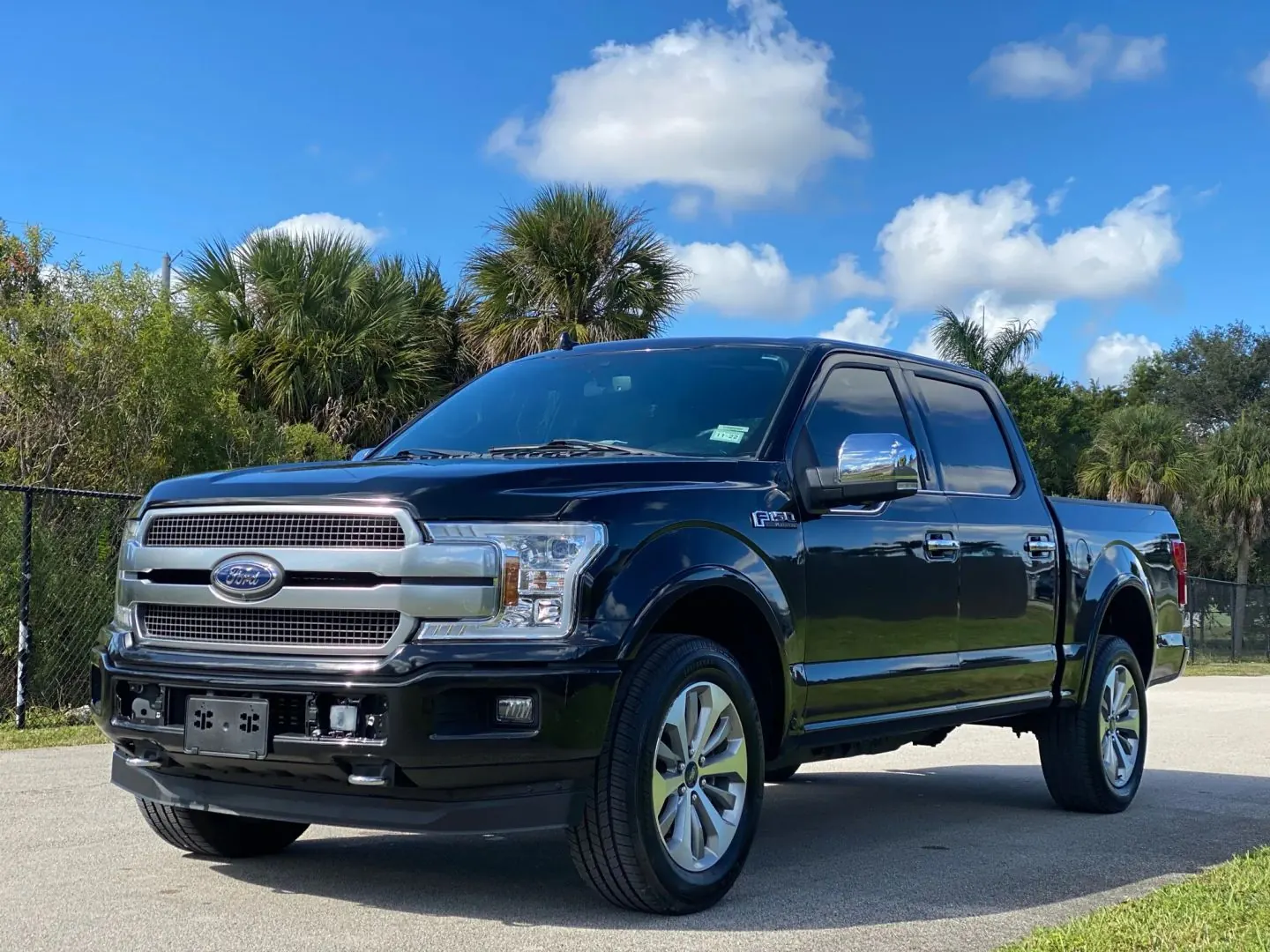2019 Ford F-150 Platinum 4WD SuperCrew 5-1/2' Box - Photo 6