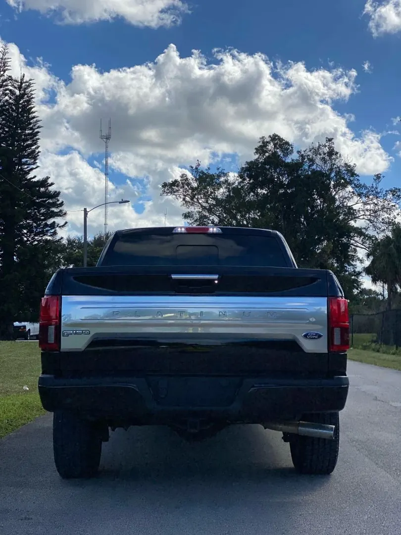 2019 Ford F-150 Platinum 4WD SuperCrew 5-1/2' Box - Photo 4