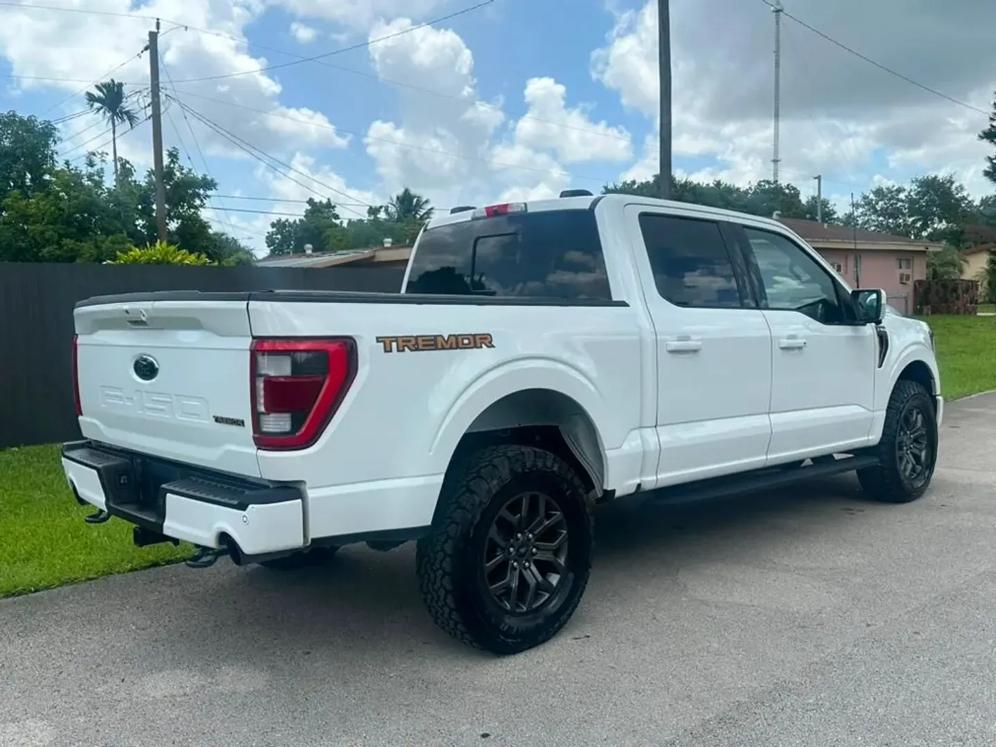 2022 Ford F-150 Tremor 4WD SuperCrew 5-1/2' Box - Photo 4