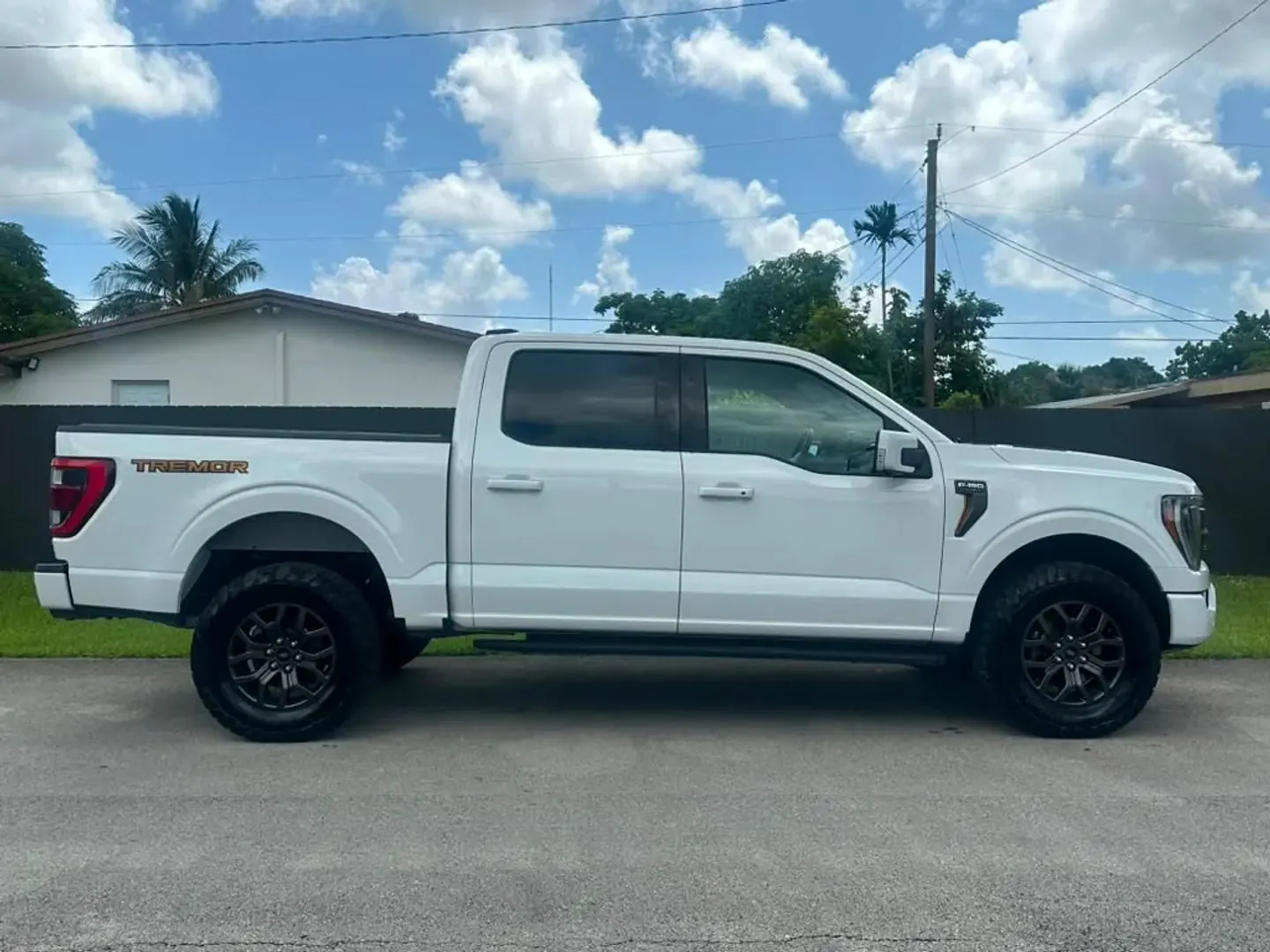 2022 Ford F-150 Tremor 4WD SuperCrew 5-1/2' Box - Photo 3