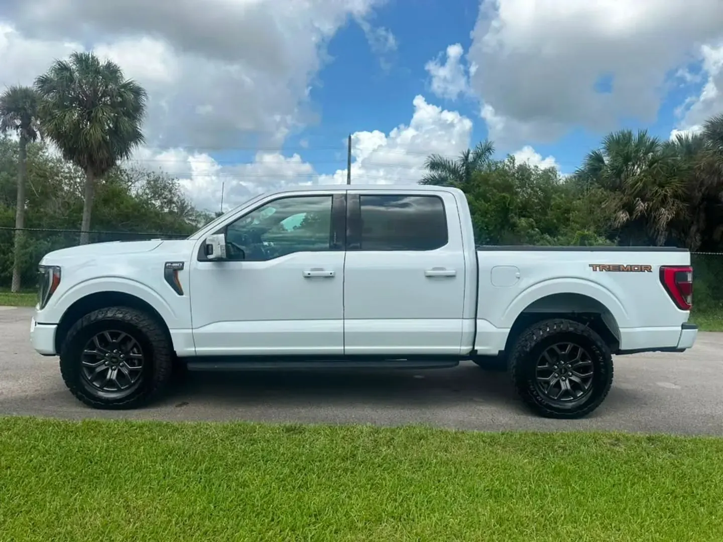2022 Ford F-150 Tremor 4WD SuperCrew 5-1/2' Box - Photo 7