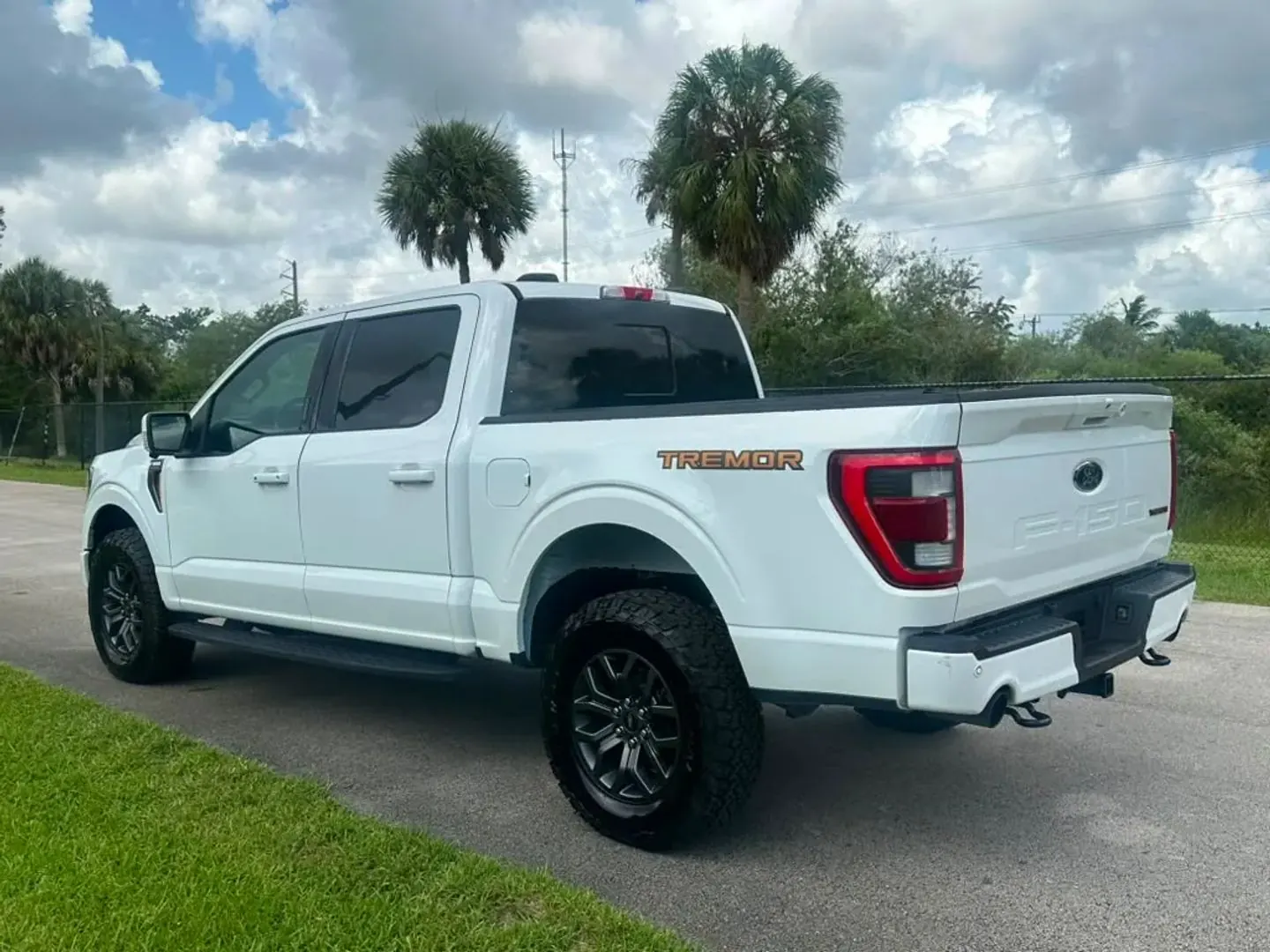 2022 Ford F-150 Tremor 4WD SuperCrew 5-1/2' Box - Photo 6