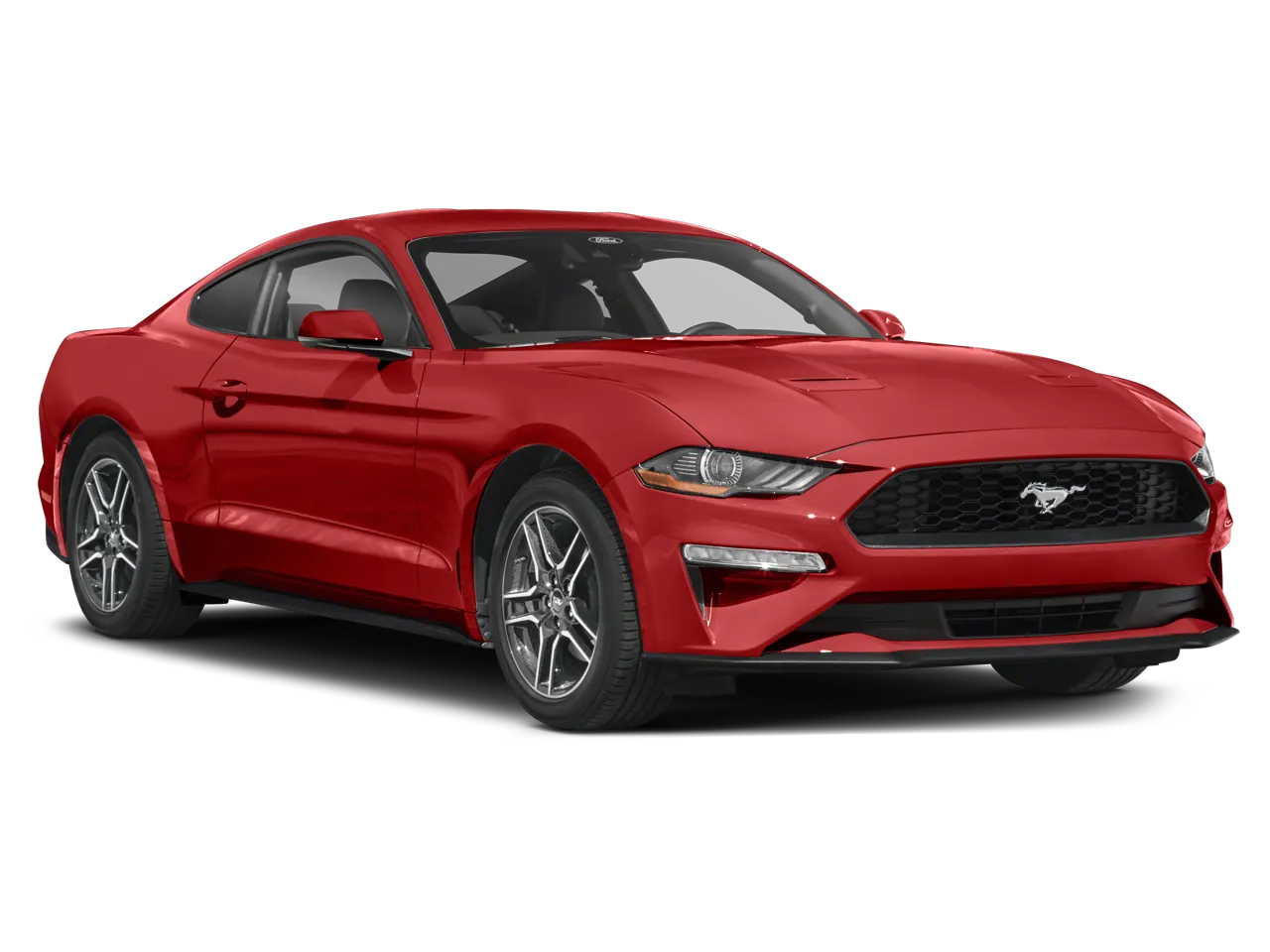 2023 Ford Mustang EcoBoost Premium Fastback - Photo 6