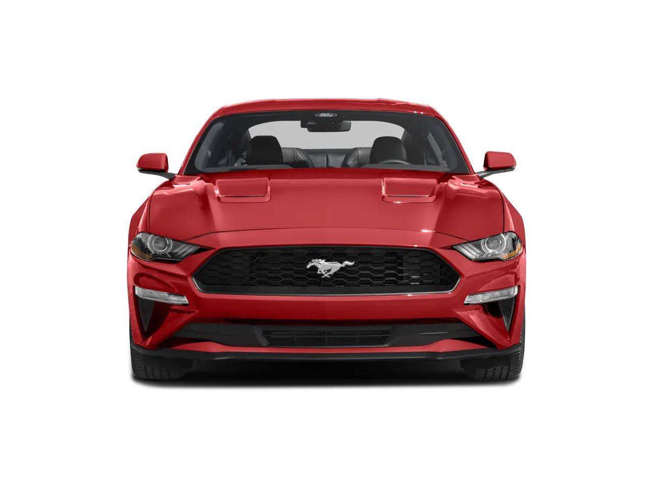 2023 Ford Mustang EcoBoost Premium Fastback - Photo 4