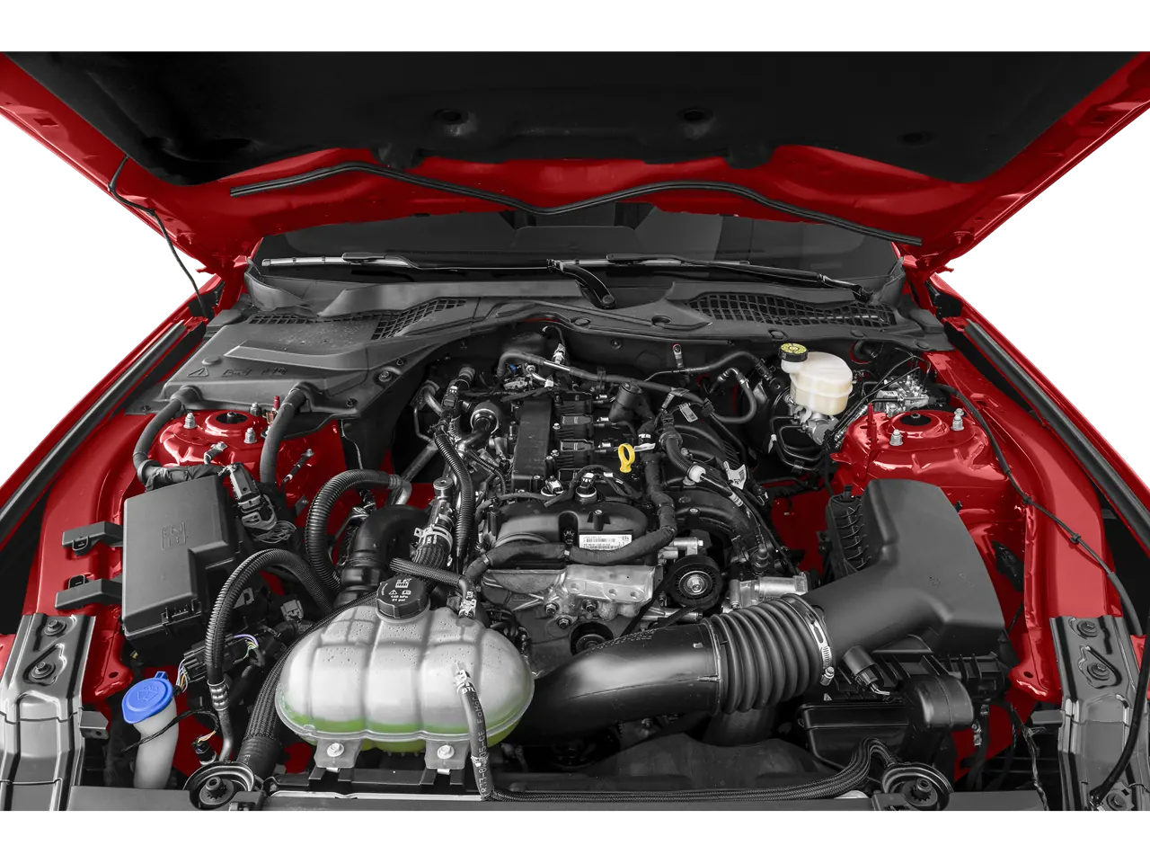 2023 Ford Mustang EcoBoost Premium Fastback - Photo 12