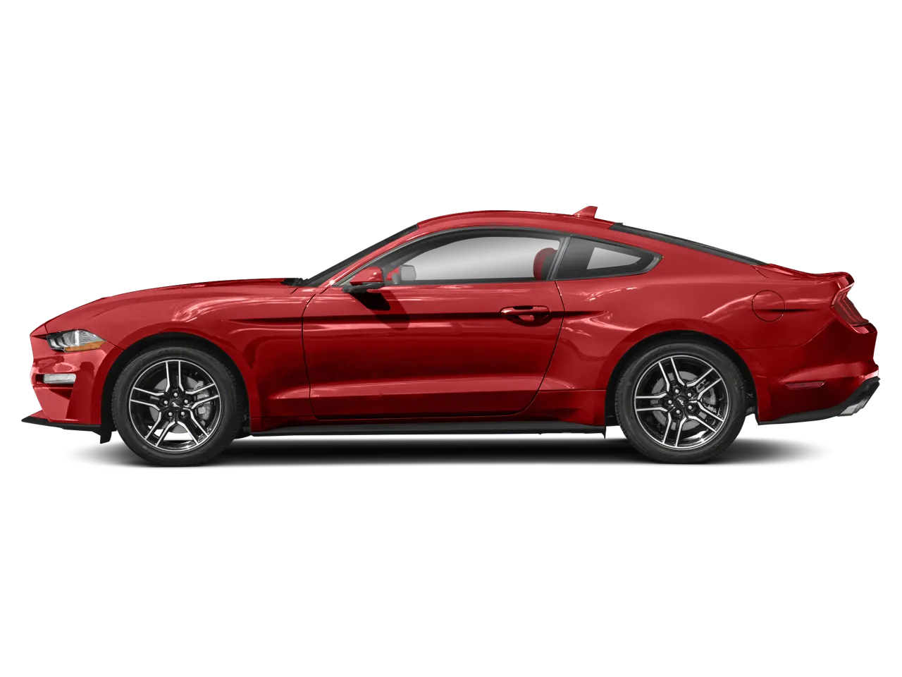 2023 Ford Mustang EcoBoost Premium Fastback - Photo 3